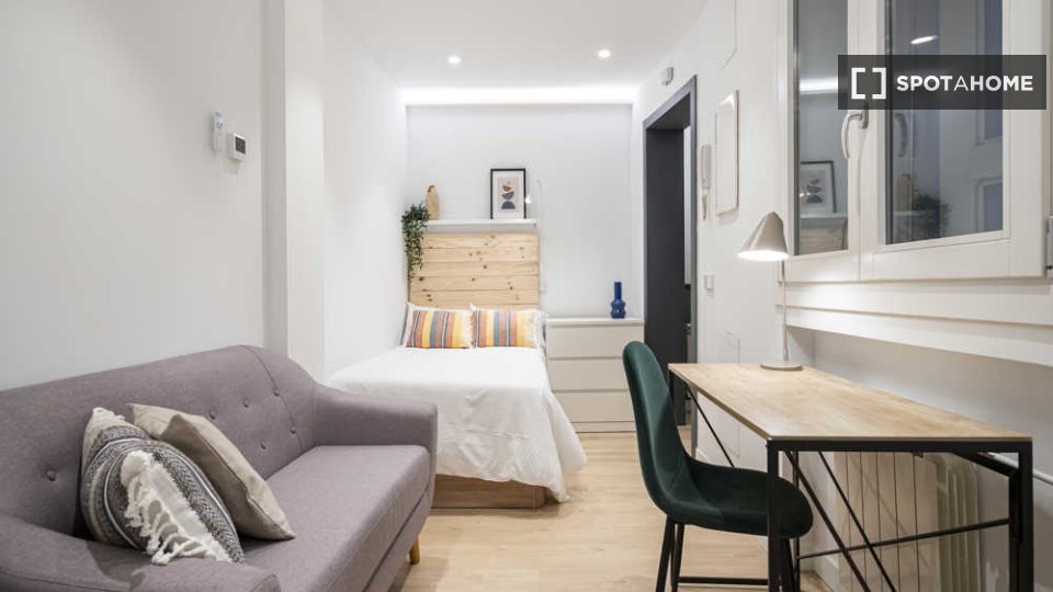 Double room Madrid, 1 bed — photo 38