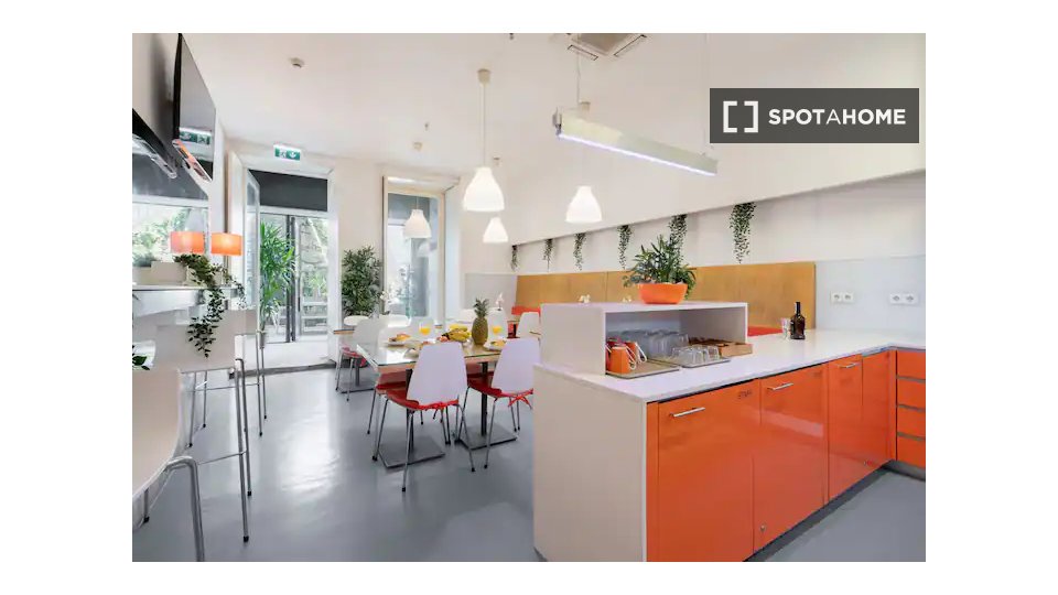Apartment Porto, 8 beds — photo 16