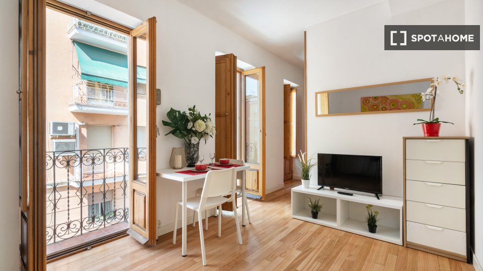 Apartment Madrid, 1 bed — photo 14