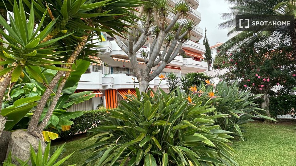 Apartment mono Santa_Cruz_De_Tenerife, 46m² — photo 3
