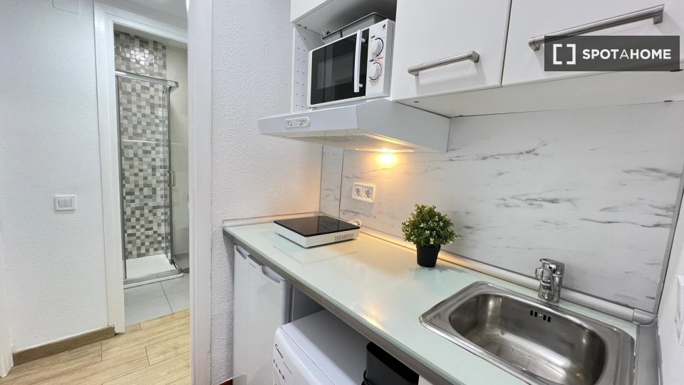 Apartment mono Madrid — photo 23