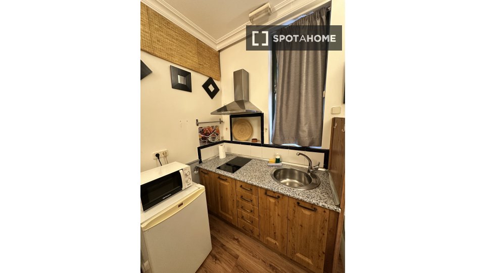 Apartment mono Madrid, 20m² — photo 32