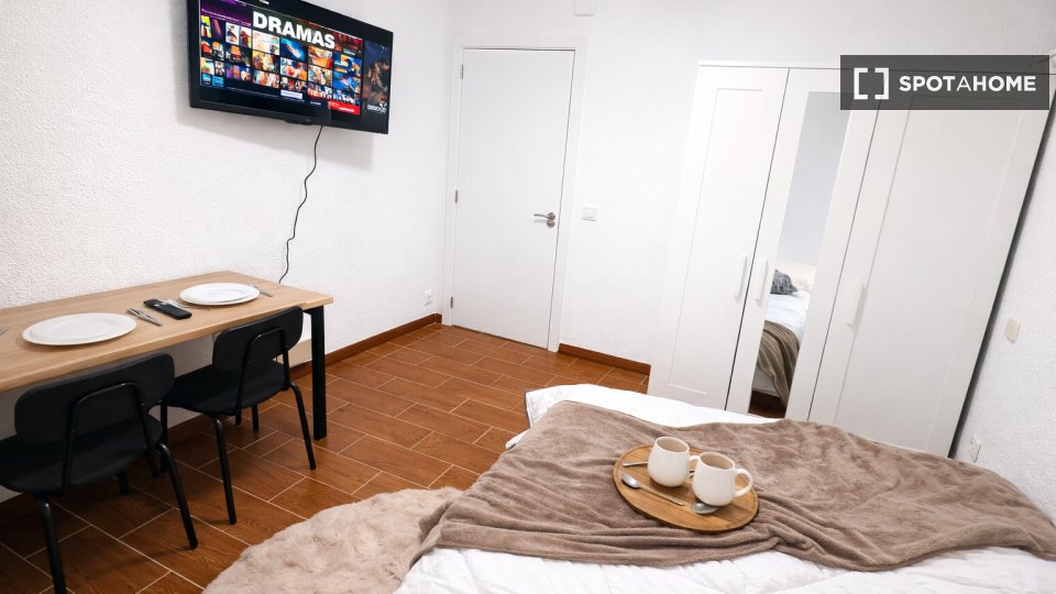 Double room Madrid, 4 beds, 75m² — photo 12