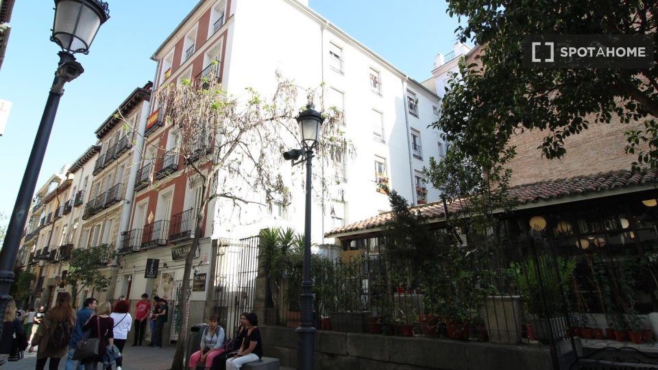 Apartment Madrid, 1 bed — photo 13