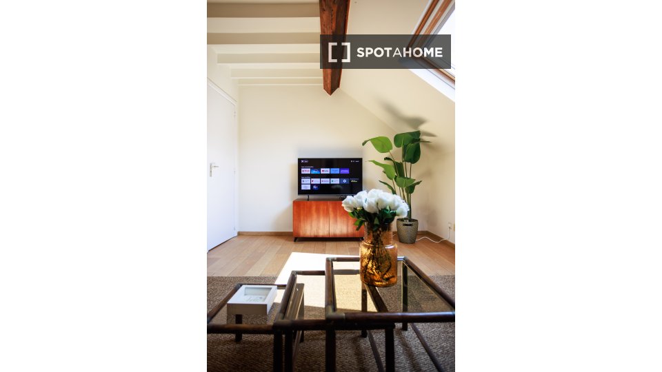 Apartment mono Brussels, 85m² — photo 1
