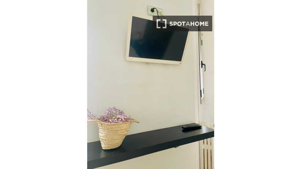 Double room Madrid, 3 beds, 100m² — photo 3
