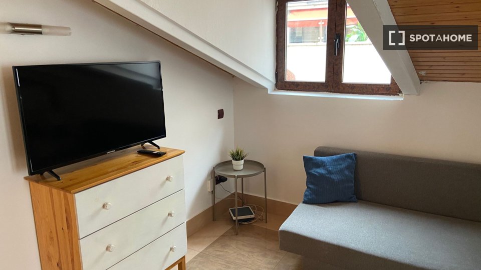 Apartment mono Madrid — photo 19