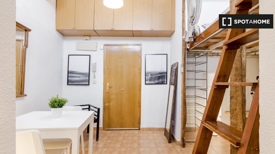 Apartment mono Madrid, 29m² — photo 11