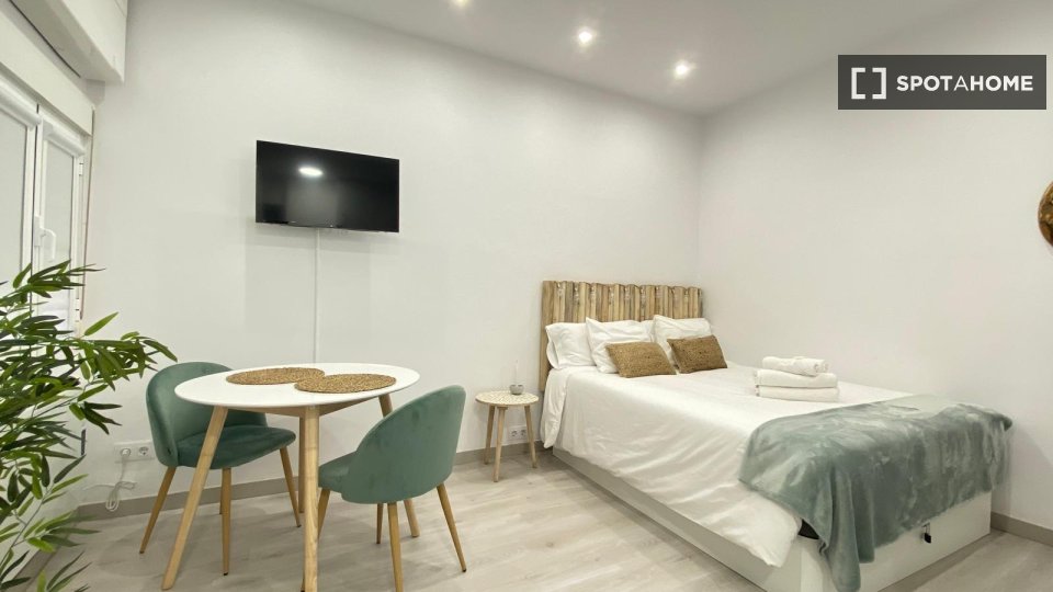 Apartment mono Madrid, 30m² — photo 5