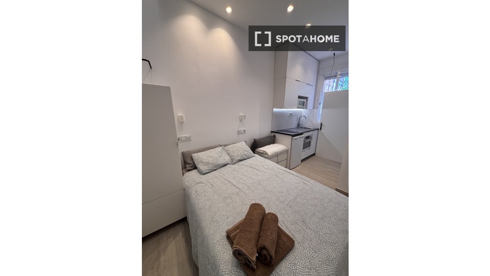 Apartment Madrid, 1 bed, 21m² — photo 4