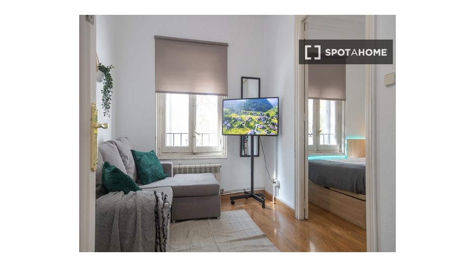 Double room Madrid, 4 beds, 100m² — photo 33