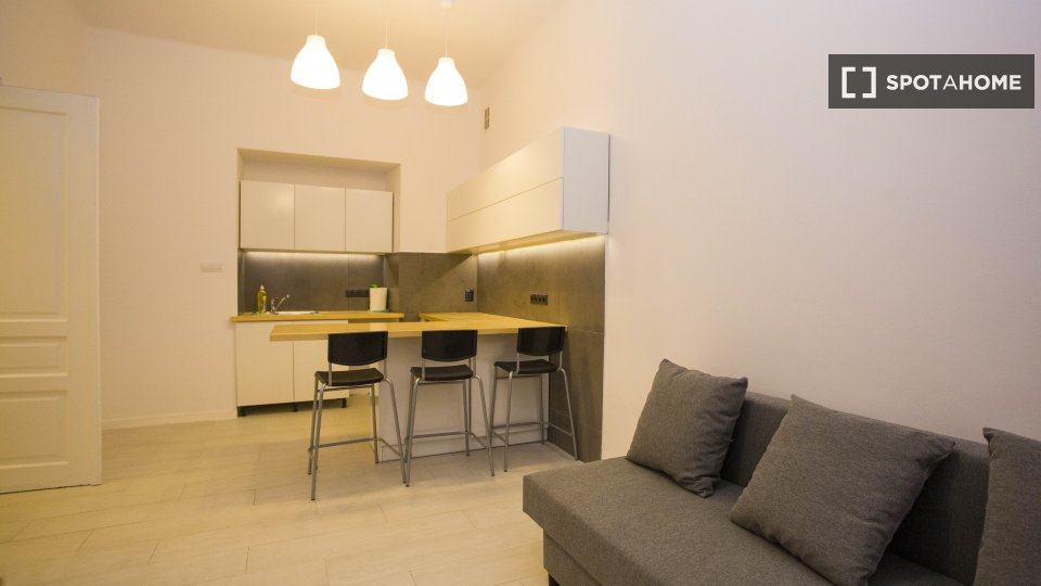 Apartment mono Krakow, 30m² — photo 3