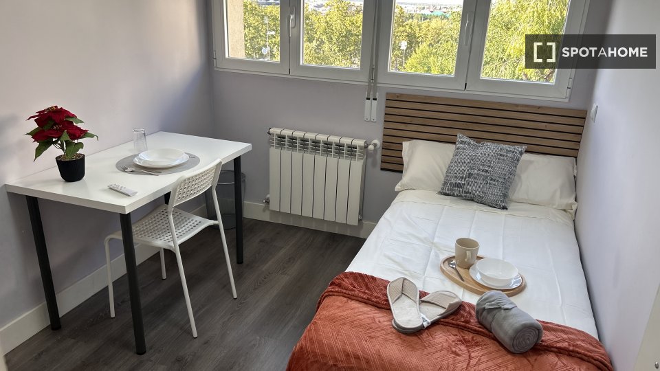 Double room Madrid, 5 beds, 85m² — photo 4