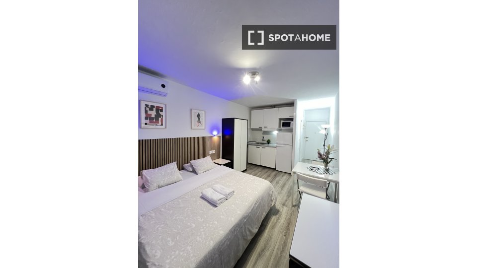 Apartment mono Madrid — photo 15