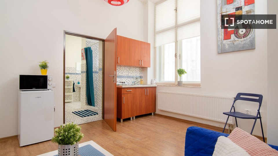 Apartment mono Prague, 35m² — photo 7