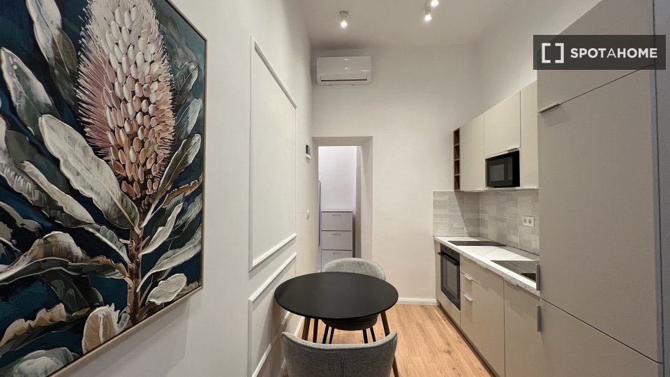 Apartment mono Budapest, 30m² — photo 3