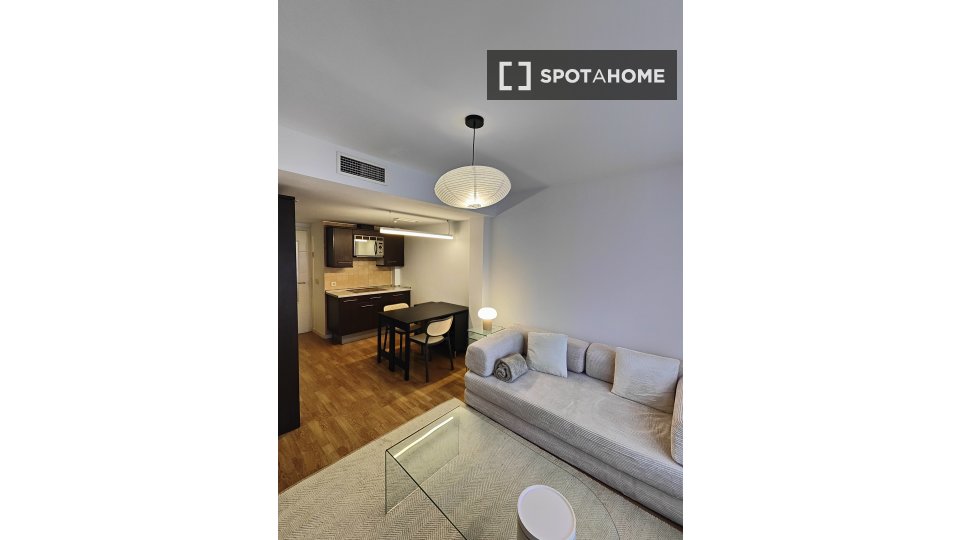 Apartment Madrid, 1 bed — photo 17