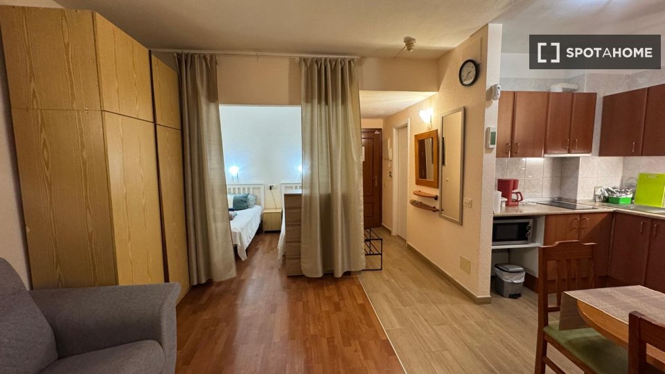 Apartment mono Santa_Cruz_De_Tenerife, 46m² — photo 13