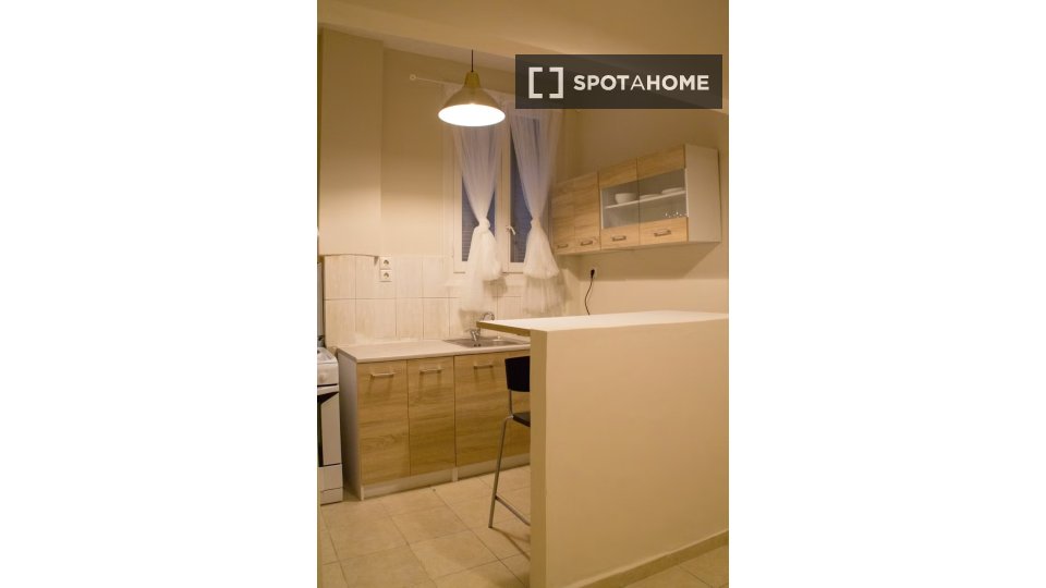 Double room Athens, 2 beds — photo 14