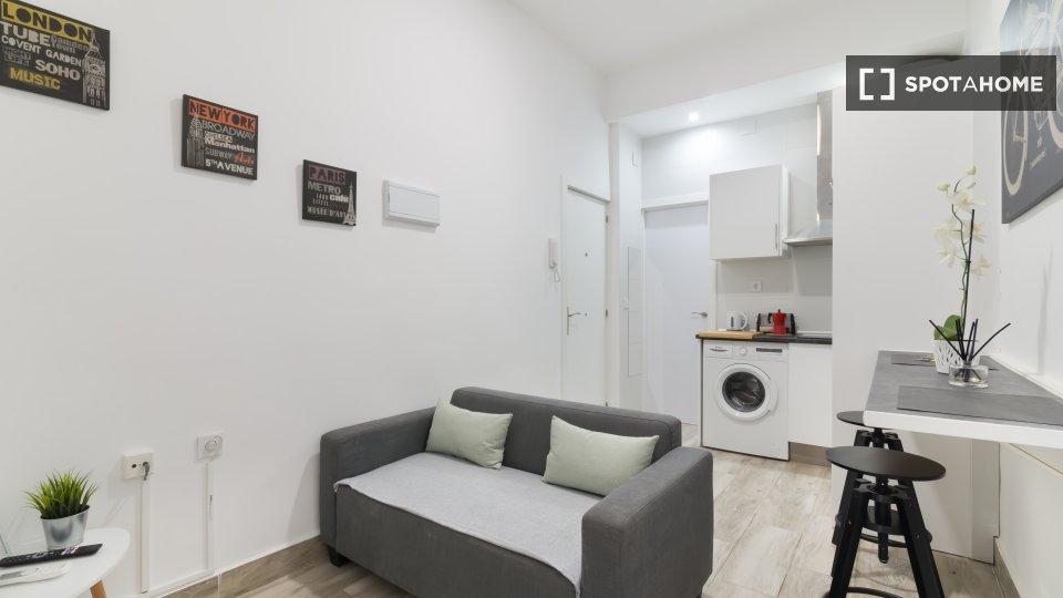 Apartment mono Madrid, 35m² — photo 5