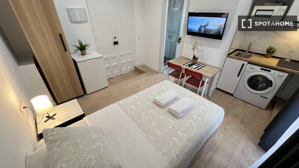 Apartment mono Madrid, 21m² — photo 29