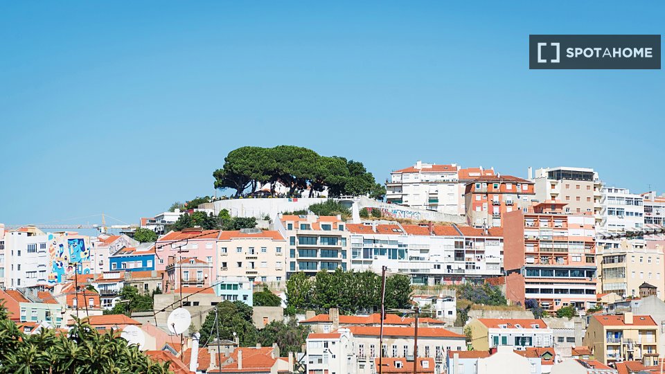Apartment mono Lisbon, 45m² — photo 5