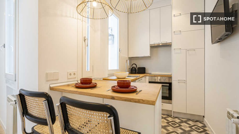 Double room Madrid, 4 beds, 70m² — photo 86