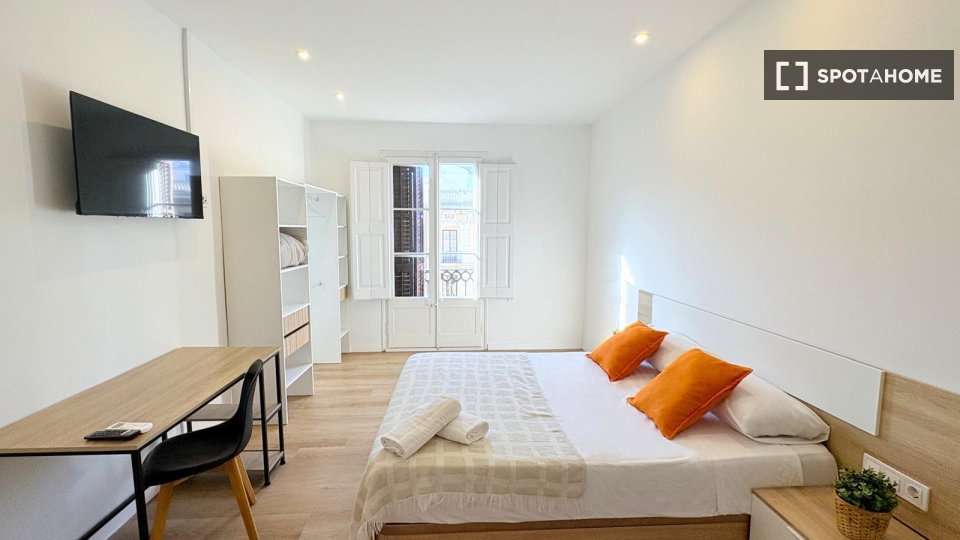 Double room Barcelona, 7 beds, 90m² — photo 10