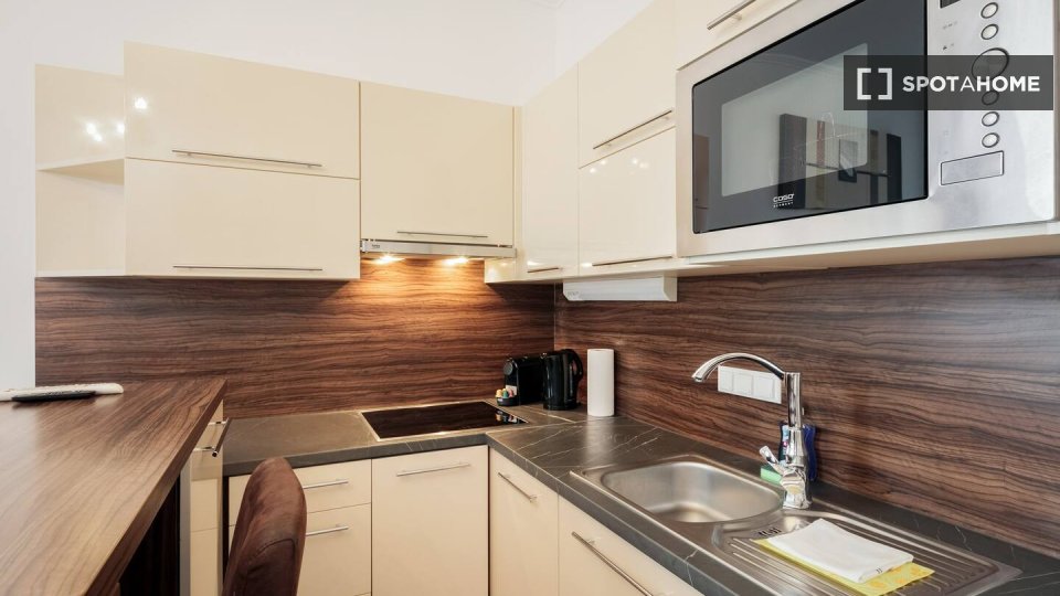 Apartment mono Vienna, 31m² — photo 13