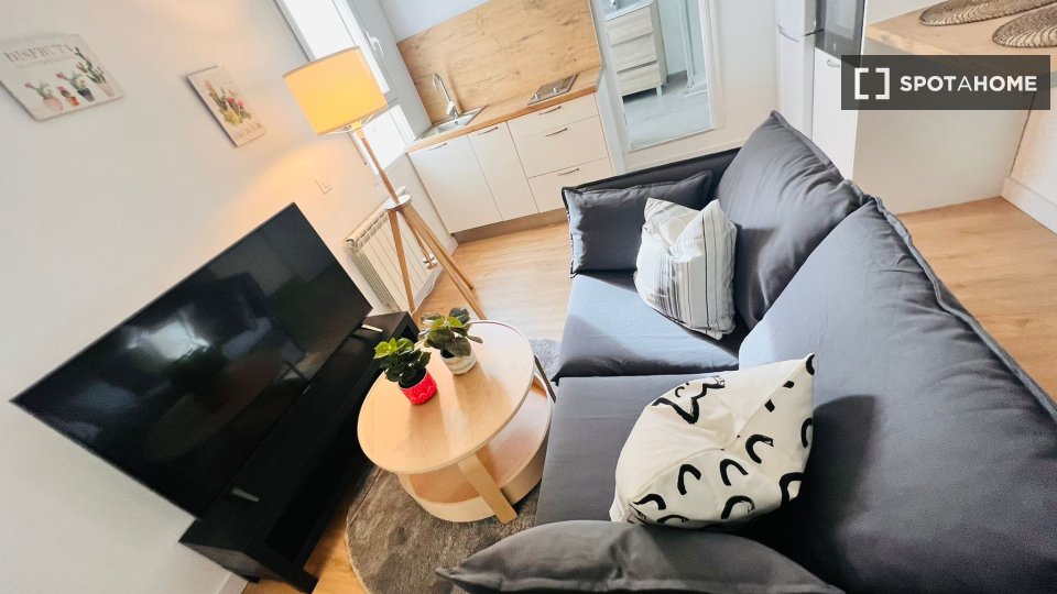 Apartment Madrid, 1 bed — photo 10