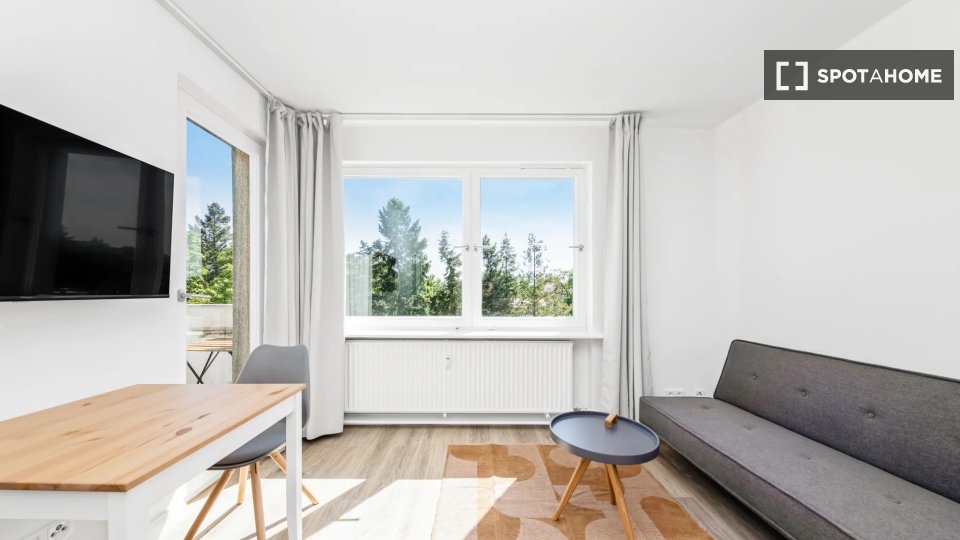 Apartment mono Berlin, 33m² — photo 2