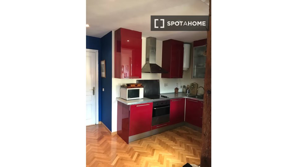 Apartment Madrid, 1 bed — photo 17
