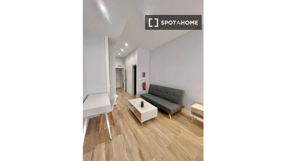 Apartment mono Madrid — photo 16