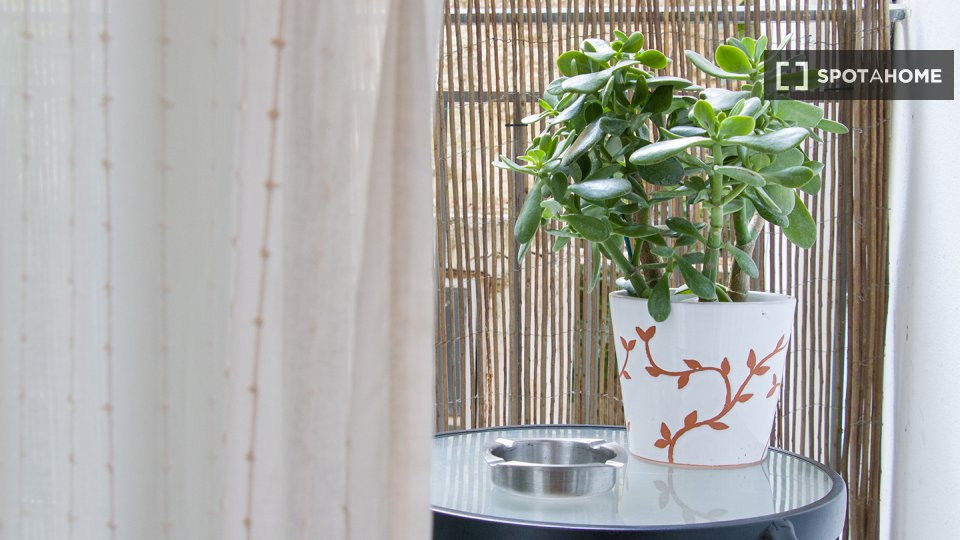 Apartment mono Athens, 30m² — photo 7