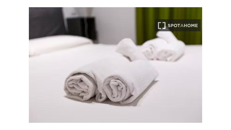 Apartment Rome, 1 bed — photo 16