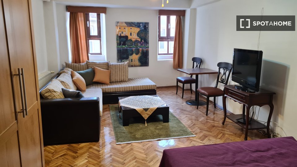 Studio apartment for rent in Istanbul (ref 860254) Spotahome