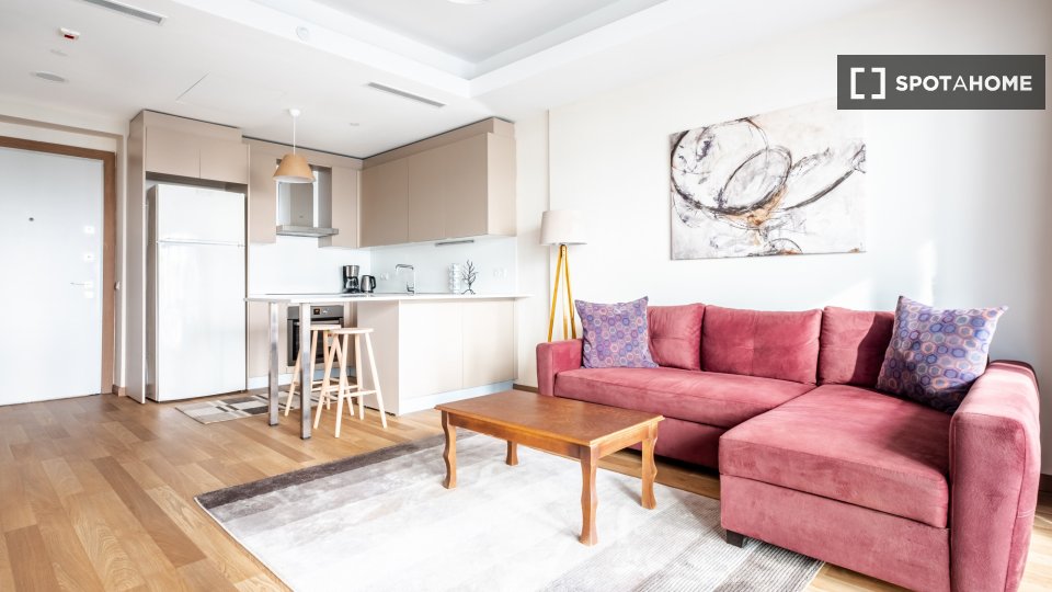 Apartment Istanbul, 1 bed — photo 9