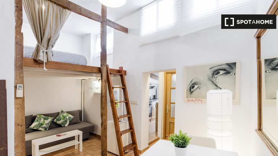 Apartment mono Madrid, 29m² — photo 13