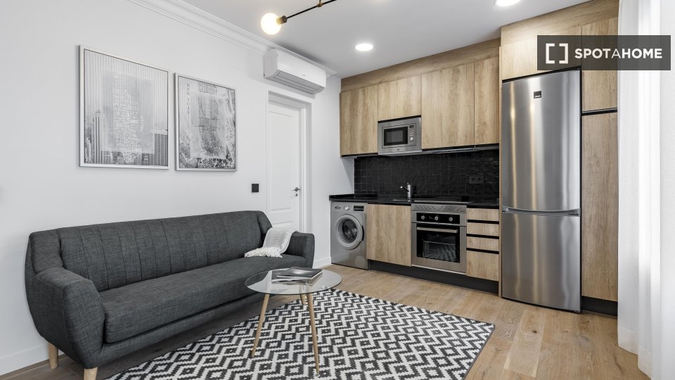 Apartment mono Madrid, 43m² — photo 4
