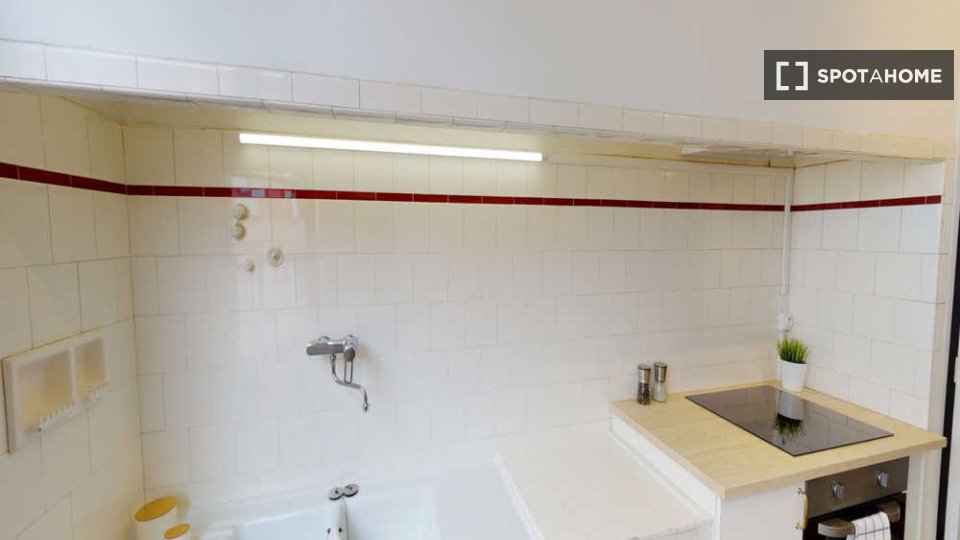 Double room Toulouse, 5 beds, 100m² — photo 8