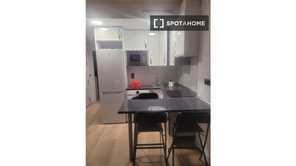 Apartment mono Madrid, 30m² — photo 13