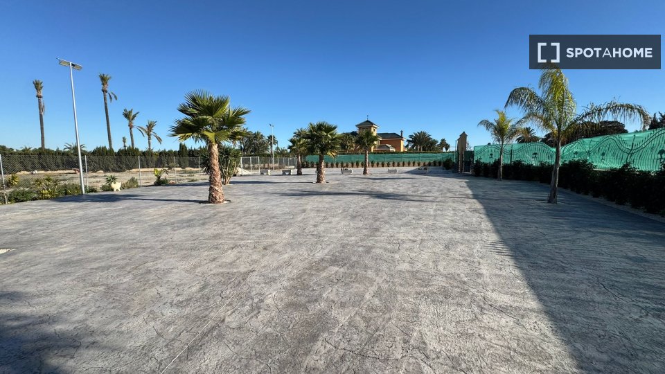Double room Alicante, 10 beds, 650m² — photo 17