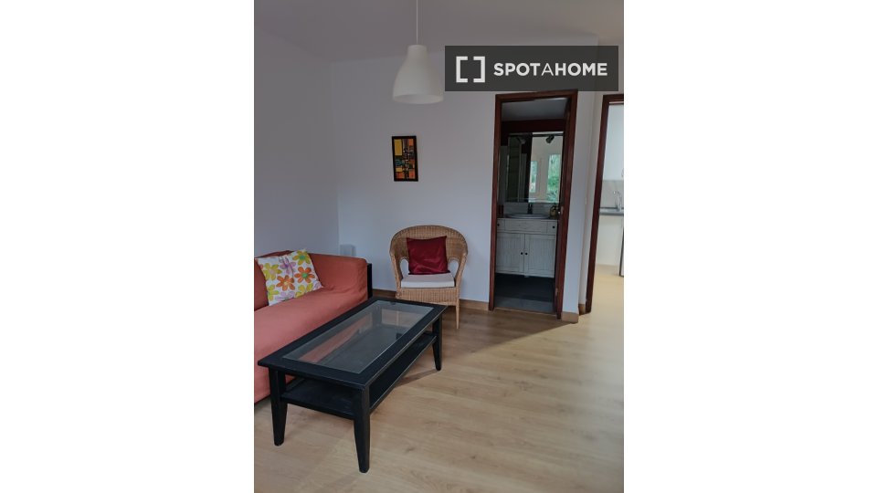 Apartment Santa_Cruz_De_Tenerife, 1 bed, 45m² — photo 3