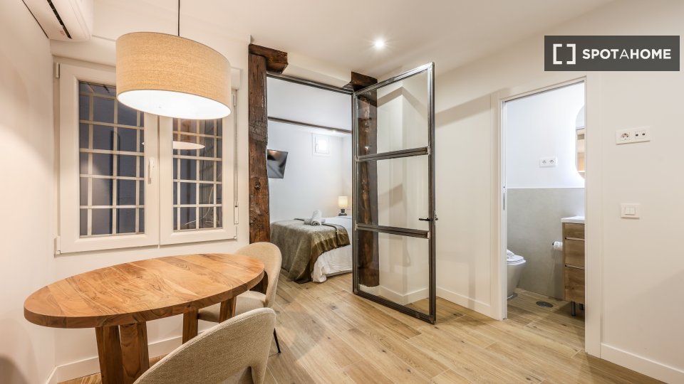 Apartment mono Madrid, 22m² — photo 10