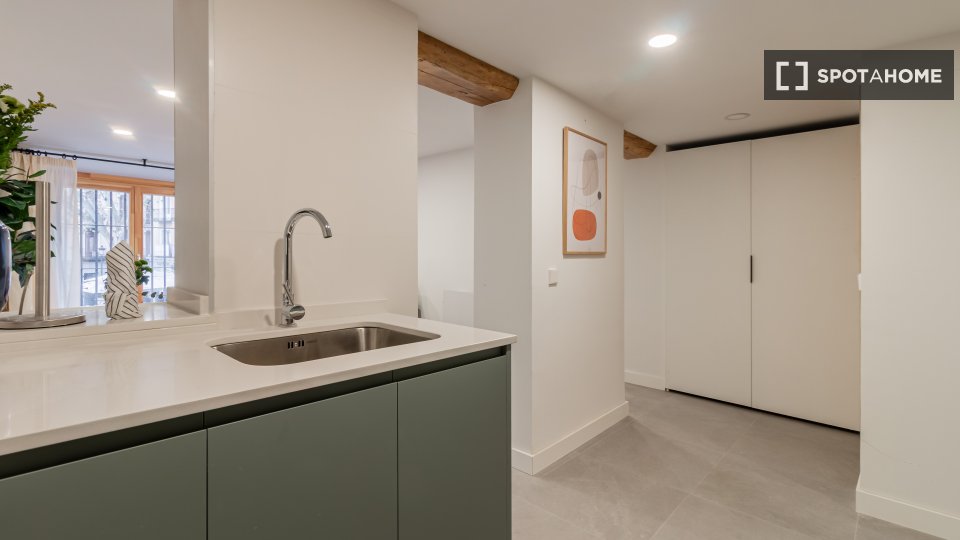 Apartment mono Madrid, 45m² — photo 4
