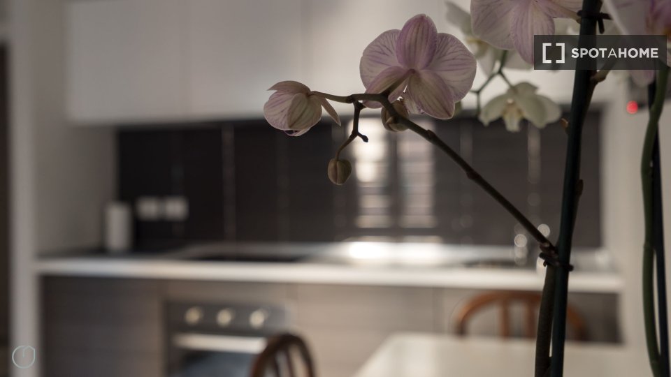 Apartment Milan, 1 bed, 45m² — photo 5