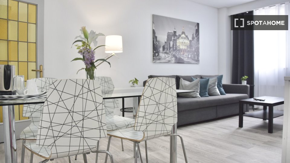 Apartment mono Madrid, 30m² — photo 5