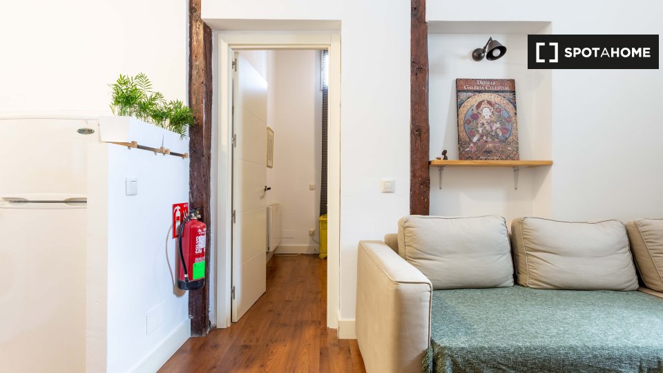 Apartment Madrid, 2 beds, 50m² — photo 12