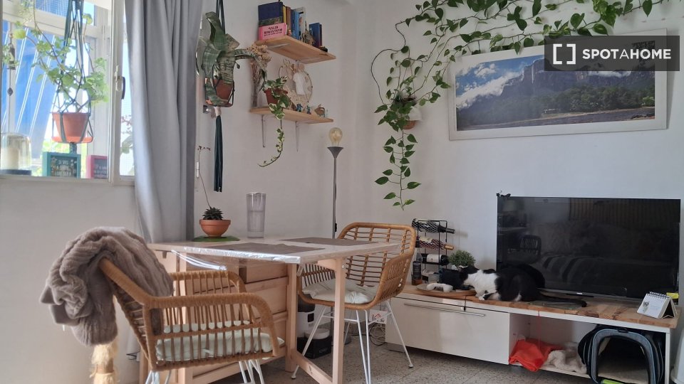 Double room Malaga, 3 beds — photo 2