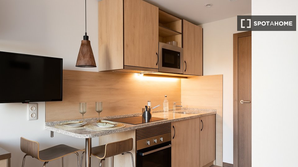 Apartment mono Madrid — photo 5